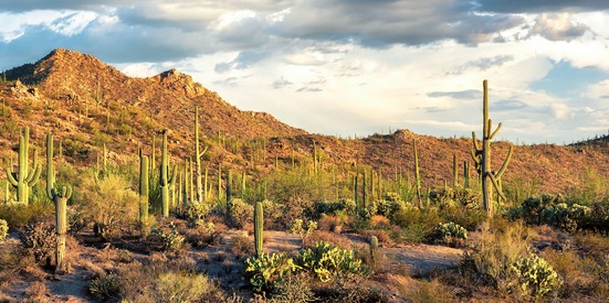 tour dell'Arizona-cosa vedere in Arizona