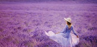 campi-di-lavanda-toscana